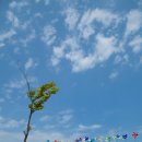 바람개비 이미지