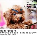 남창원동물병원 이미지