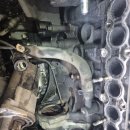 그랜드모터스 이미지