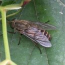 소등축산 이미지