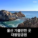 대왕암공원1(무인계수기) | 울산 가볼만한곳 여행지 운동화 필수 대왕암공원 해녀 해산물 출렁다리까지 꼭 다녀와보세요