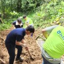 강원사료 이미지