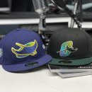 원조가오리 이미지