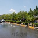 수원-이의-이의-16 이미지