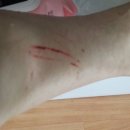 대일2농장 이미지