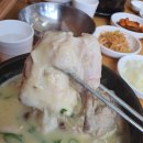 윤희네백숙