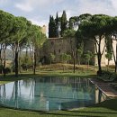 The King's gym 이미지