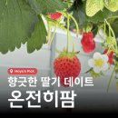 덕인농장 | 딸기? 바닷가 인근 땅에서 자라 맛이 좋은 딸기 체험 농장 아이랑 방문하기 좋은 온전히팜 내돈내산 후기
