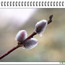 숙 머리사랑