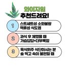 이수다온약국 이미지