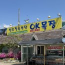 오케이목장 | 의왕 청계산 애견동반 정육식당 맛집 추천 : 오케이목장