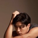 얼루아 Daum카페
