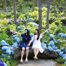 성림포레스트 이미지