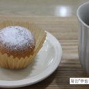 퐁신스튜디오