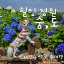 숨,도 이미지