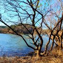 울주(울산) 이미지