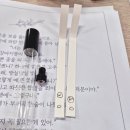 (12/15) 나만의 향수 만들기 | 2025 구직데이 여성특강 – 동래여성인력센터에서 나만의 향수 만들기 체험후기