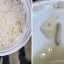익산학교급식 이미지