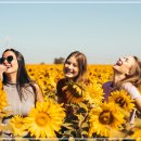 신사스포츠센타 이미지