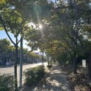 낙동강관리본부 화명생태공원 12 | [도보 국토종주] 경부선 철도역 순례16 서울역에서 부산역 도보여행 경부선역(91개소)순례 16...