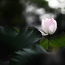 진규농장 이미지