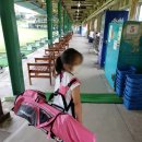 에이스골프연습장(301) 이미지