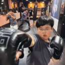 복싱 9년차 여자 직장인 복싱 후기 &lt;삼성동복싱 /강남복싱&gt;