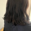 보노보노헤어샵 | 홍대 헤어샵 스페셜 클리닉 에이바헤어 홍대상수역점