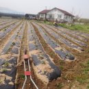 종필농장 이미지