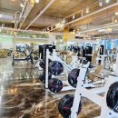 마운틴 휘트니스 이미지