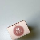 컬러그램 누디 블러 틴트 08호 힙초콜렛 내돈내산 후기