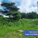 아산시-2022-010 이미지