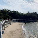 2021-03-14(일)충남 보령 대천해수욕장 해변과 스카이바이크-개화예술촌의 모습 이미지