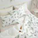 주식회사 비비드 이미지