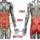 안다미로필라테스 이미지