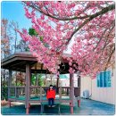 선흘1리경로당 이미지