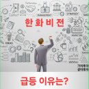 한화비전 급등 이유는? - 기업 소개와 장단점 (아워홈, 하이닉스)