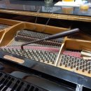 김은영음악학원 이미지