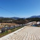 포레컴퍼니