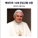 베네딕토 16세 (265대) 전 교황의 영원한 안식을 위한 기도 이미지