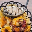 회와 멍게 친구들 이미지