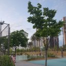 여울공원 배드민턴장 이미지