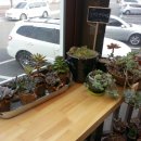 대송횟집 이미지