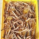 느릅나무민박 이미지