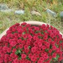 병순농장 이미지