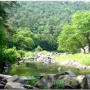 석천할머니 이미지