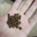 고양이사료 뉴로펫푸드 : 저혈당,하이미트,無곡물,無감자,無옥수수,無대두