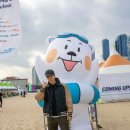 해운대 북극곰 축제 후기 12월 부산 가볼만한곳
