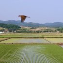 안악해수욕장 화장실 이미지