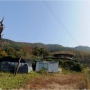 김진기공인중개사사무소 이미지